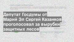 Скриншот голосования Ивана Казанкова