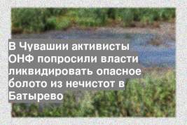 В Чувашии активисты ОНФ попросили власти ликвидировать опасное болото из нечистот в Батырево
