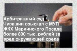 Арбитражный суд Чувашии взыскал с МУП ЖКХ Мариинского Посада более 800 тыс. рублей за вред окружающей среде