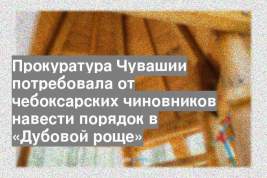 Прокуратура Чувашии потребовала от чебоксарских чиновников навести порядок в «Дубовой роще»