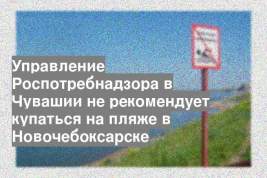 Управление Роспотребнадзора в Чувашии не рекомендует купаться на пляже в Новочебоксарске
