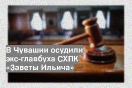 В Чувашии осудили экс-главбуха СХПК «Заветы Ильича»