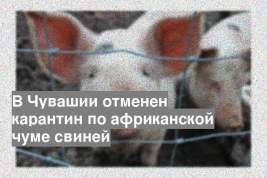 В Чувашии отменен карантин по африканской чуме свиней