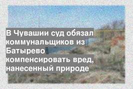 В Чувашии суд обязал коммунальщиков из Батырево компенсировать вред, нанесенный природе