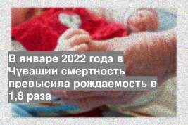 В январе 2022 года в Чувашии смертность превысила рождаемость в 1,8 раза