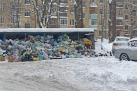 Жители Чувашии стали чаще жаловаться на то, что из дворов не вывозят мусор