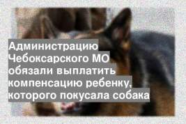 Администрацию Чебоксарского МО обязали выплатить компенсацию ребенку, которого покусала собака