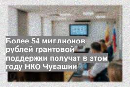 Более 54 миллионов рублей грантовой поддержки получат в этом году НКО Чувашии