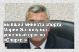 Бывший министр спорта Марий Эл получил условный срок за «Спартак»