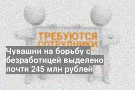 Чувашии на борьбу с безработицей выделено почти 245 млн рублей