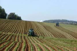 Чувашия попала в пятёрку лучших регионов по цифровой трансформации сельского хозяйства