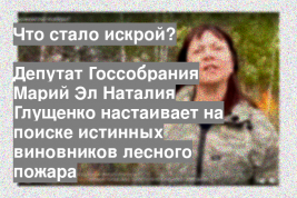 Депутат Госсобрания Марий Эл Наталия Глущенко настаивает на поиске истинных виновников лесного пожара