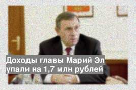 Доходы главы Марий Эл упали на 1,7 млн рублей