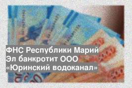 ФНС Республики Марий Эл банкротит ООО «Юринский водоканал»