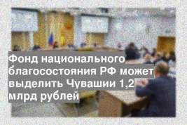 Фонд национального благосостояния РФ может выделить Чувашии 1,2 млрд рублей