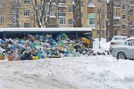 Глава Чебоксар Денис Спирин объяснил, почему из городских дворов не вывозят мусор