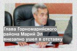 Глава Горномарийского района Марий Эл внезапно ушел в отставку