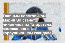 Главным налоговиком Марий Эл станет чиновница из Татарстана, замешанная в коррупционном скандале