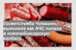 Госветслужба Чувашии выяснила как АЧС попала в новочебоксарскую колбасу