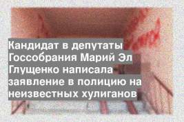Кандидат в депутаты Госсобрания Марий Эл Глущенко написала заявление в полицию на неизвестных хулиганов