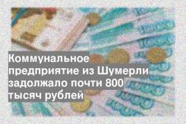 Коммунальное предприятие из Шумерли задолжало почти 800 тысяч рублей