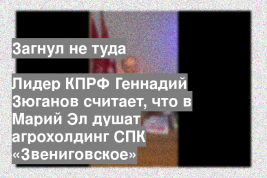 Лидер КПРФ Геннадий Зюганов считает, что в Марий Эл душат агрохолдинг СПК «Звениговское»