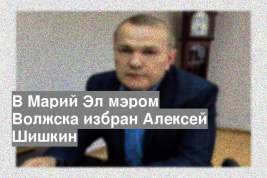 В Марий Эл мэром Волжска избран Алексей Шишкин