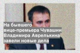 На бывшего вице-премьера Чувашии Владимира Аврелькина завели новые дела
