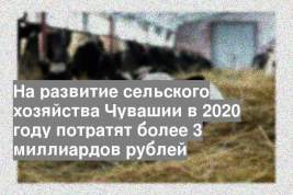 На развитие сельского хозяйства Чувашии в 2020 году потратят более 3 миллиардов рублей
