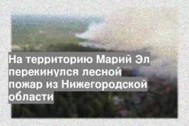 На территорию Марий Эл перекинулся лесной пожар из Нижегородской области