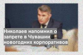 Николаев напомнил о запрете в Чувашии новогодних корпоративов