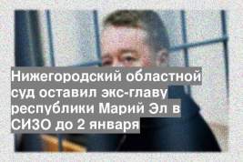 Нижегородский областной суд оставил экс-главу республики Марий Эл в СИЗО до 2 января