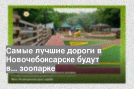 Самые лучшие дороги в Новочебоксарске будут в... зоопарке