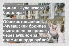 Обанкротившийся «Чувашский бройлер» выставлен на продажу через аукцион за полмиллиарда рублей