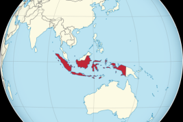 Оборот Чувашии с Индонезией составил 1,2 миллиона долларов и увеличился в почти 12 раз