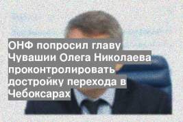 ОНФ попросил главу Чувашии Олега Николаева проконтролировать достройку перехода в Чебоксарах