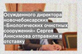 Осужденного директора новочебоксарских «Биологических очистных сооружений» Сергея Анисимова отправили в отставку