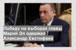 Победу на выборах главы Марий Эл одержал Александр Евстифеев