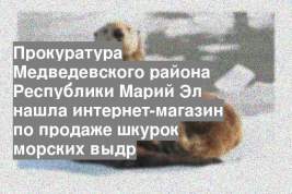 Прокуратура Медведевского района Республики Марий Эл нашла интернет-магазин по продаже шкурок морских выдр