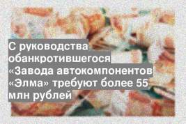 С руководства обанкротившегося «Завода автокомпонентов «Элма» требуют более 55 млн рублей