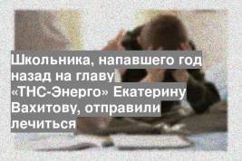 Школьника, напавшего год назад на главу «ТНС-Энерго» Екатерину Вахитову, отправили лечиться