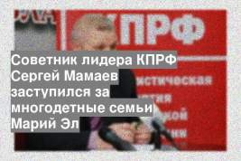 Советник лидера КПРФ Сергей Мамаев заступился за многодетные семьи Марий Эл