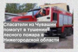 Спасатели из Чувашии помогут в тушении лесного пожара в Нижегородской области