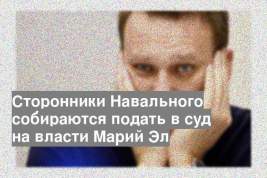 Сторонники Навального собираются подать в суд на власти Марий Эл