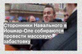 Сторонники Навального в Йошкар-Оле собираются провести массовую забастовку
