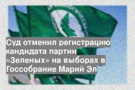 Суд отменил регистрацию кандидата партии «Зеленых» на выборах в Госсобрание Марий Эл