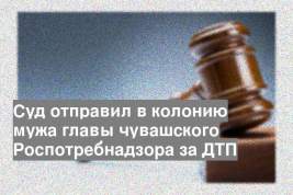 Суд отправил в колонию мужа главы чувашского Роспотребнадзора за ДТП
