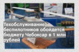 Техобслуживание беспилотников обойдется бюджету Чебоксар в 1 млн рублей