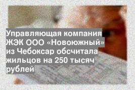 Управляющая компания ЖЭК ООО «Новоюжный» из Чебоксар обсчитала жильцов на 250 тысяч рублей