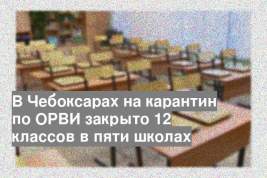 В Чебоксарах на карантин по ОРВИ закрыто 12 классов в пяти школах